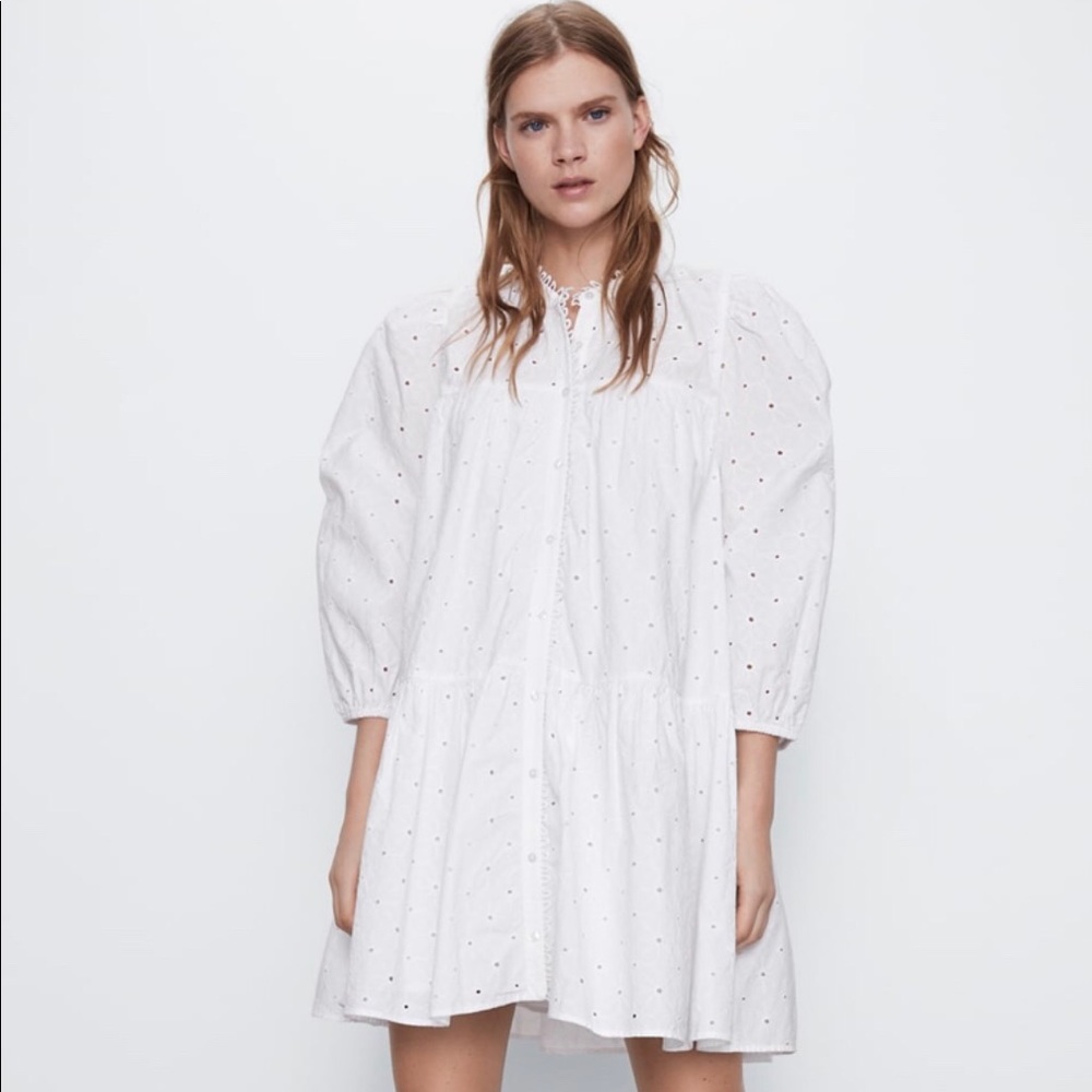 Zara Embroideres Mini Dress